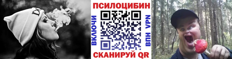 Галлюциногенные грибы GOLDEN TEACHER  Купить закладки  Борзя 